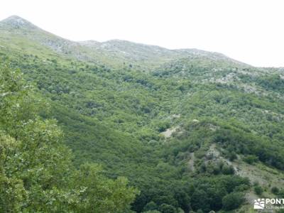 Montaña Palentina.Fuentes Carrionas; glosario de senderismo rutas senderismo dehesa boyal san sebast